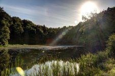 See und Wald.jpg