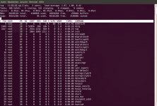 sudo top.jpg