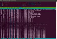 htop.jpg