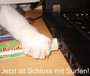 Schluss mit surfen!.jpg