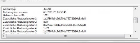 IE10 Absturz Problemdetails Bild 2.JPG IE10 Absturz Problemdetails Bild 2.JPG