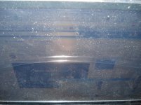 DSC01666.jpg