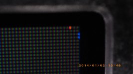 IMGP0179.jpg