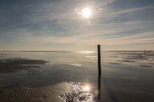 Westerhever_140416_046.jpg