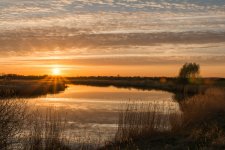 Westerhever_140416_089.jpg