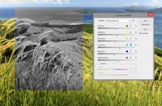 green_black.jpg green_black.jpg