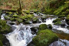 Ravennaschlucht_DSC_5460.jpg