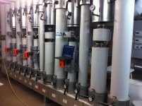 X60-Ratte auf Heizung1.jpg X60-Ratte auf Heizung1.jpg