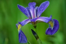 20150614_2751.jpg 20150614_2751.jpg