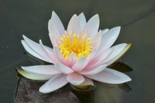 20150614_2763.jpg 20150614_2763.jpg