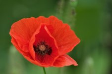 20150614_2786.jpg 20150614_2786.jpg