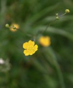 IMG_1180_edited.jpg IMG_1180_edited.jpg