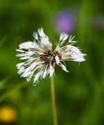 IMG_1182_edited.jpg IMG_1182_edited.jpg