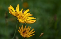 IMG_1211_edited.jpg IMG_1211_edited.jpg