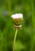 IMG_1183_edited.jpg IMG_1183_edited.jpg