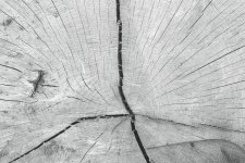 P61500200001.jpg P61500200001.jpg