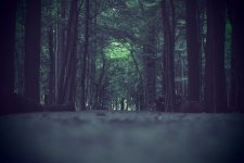 P61500820002.JPG P61500820002.JPG