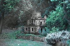 P61500860003.jpg P61500860003.jpg