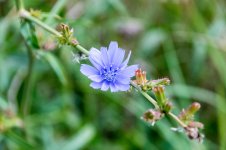 DSC_1709#.jpg DSC_1709#.jpg