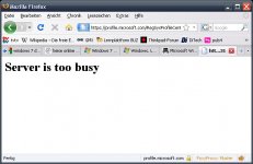 busy.jpg