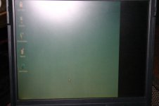 img_7874_319.jpg
