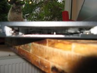 IMG_1886.jpg