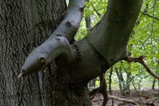 20150905_3685.jpg 20150905_3685.jpg