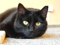 DSCN0670.jpg DSCN0670.jpg