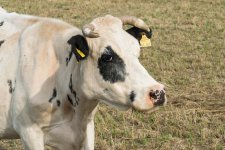 DSC_0911#.jpg DSC_0911#.jpg