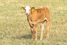 DSC_0893#.jpg DSC_0893#.jpg