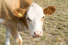 DSC_0905#.jpg DSC_0905#.jpg