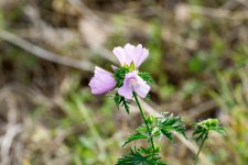 DSC_0927#.jpg DSC_0927#.jpg