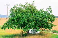 DSC_0856#.jpg DSC_0856#.jpg