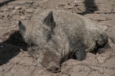 20150802_3393.jpg 20150802_3393.jpg