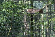 20150802_3397.jpg 20150802_3397.jpg