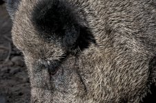 20150802_3433.jpg 20150802_3433.jpg