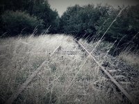 2015-09-20 23.31.45.jpg 2015-09-20 23.31.45.jpg