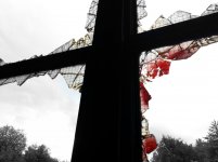 2015-09-20 23.44.59.jpg 2015-09-20 23.44.59.jpg