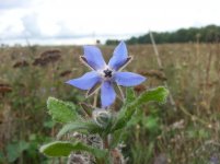 20150919_161958.jpg 20150919_161958.jpg