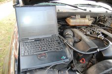 comp_DSC_5530.jpg comp_DSC_5530.jpg