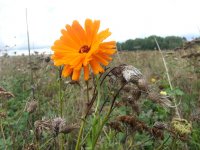 20150919_162024.jpg 20150919_162024.jpg