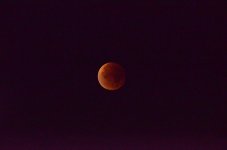 Mondfinsternis_0000.jpg Mondfinsternis_0000.jpg