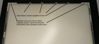 IMG_8503.jpg