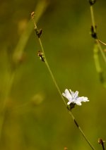 1A9Q6065web.jpg 1A9Q6065web.jpg