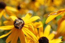 DSC08823.jpg DSC08823.jpg