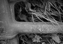 kruppweb.jpg kruppweb.jpg