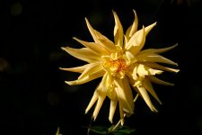 20151002_3951.jpg 20151002_3951.jpg