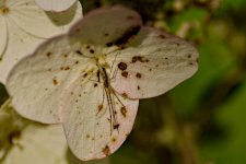 20151002_3956.jpg 20151002_3956.jpg