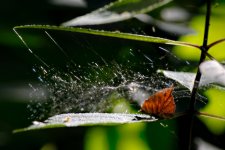 20151002_3972.jpg 20151002_3972.jpg