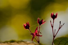 20151002_3998.jpg 20151002_3998.jpg